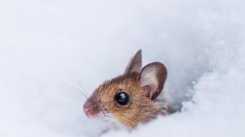Cute moments caught on camera