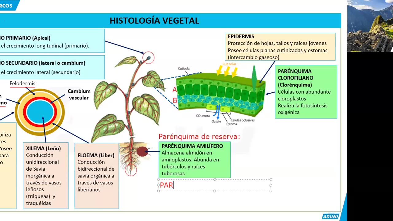 REPASO ADUNI 2024 | Semana 06 | Biología