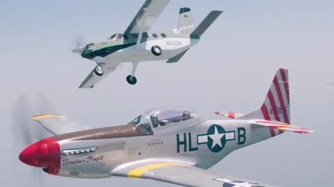 [a P-51 Mustang & Daher Kodiak 100]