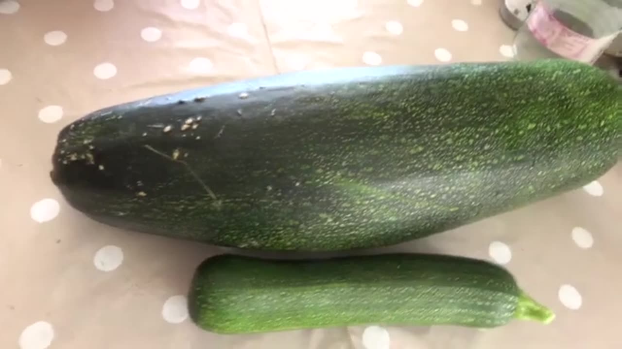 Sanity4Sweden - ZUCCHINI ACCIDENT