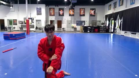 Taekwondo