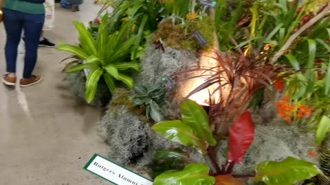 SEPOS International Orchid Show 2022