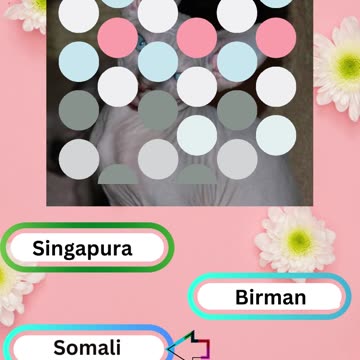 Purrfect Pets Quiz My Furry Friends Challenge 1