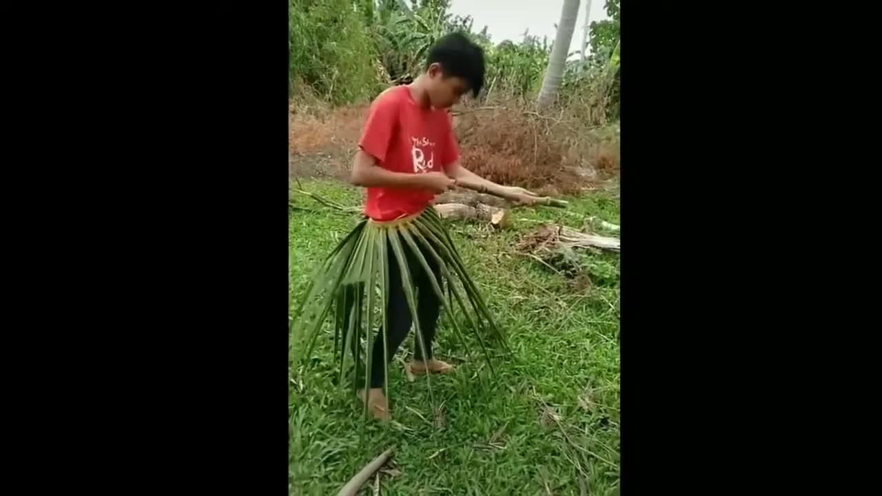 Funny video