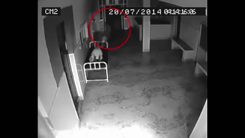 "Phantom Manifestation: Eerie Soul Departure Caught on Hospital CCTV"