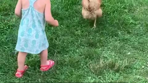 Shorts - Three Chickens Each, Table Scraps Gone, Free Eggs
