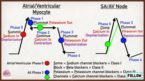 Antiarrhythmic Drug Class Mnemonic and Pharmacology [Made Easy - Medical, Nursing, and USMLE]