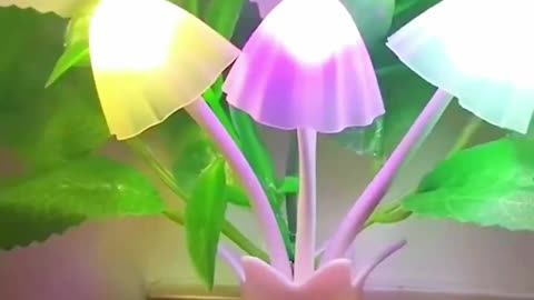 product link in bio (#06) Mini Flower Vase Smart Light Sensor Night Lamp#video #samshoppingtech