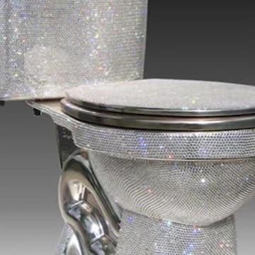 World's most expensive Toilet.🚽 #shorts #viral #nasa