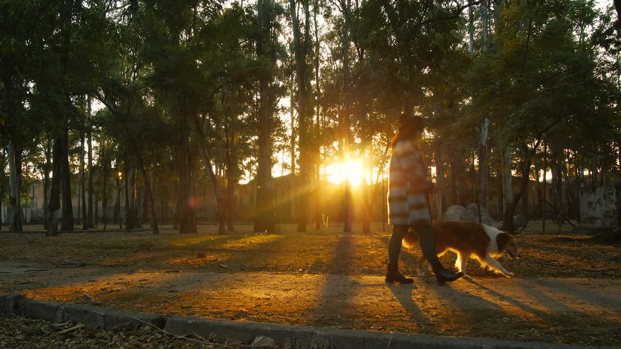 A woman walks through a park with a dog