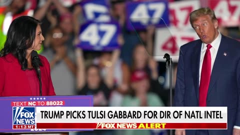 BREAKING NEWS Trump picks Tulsi Gabbard to be Director of National Intelligence