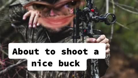 About toshootanice buck