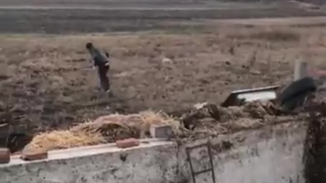 Riding the tub and the tractor is funny!