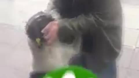 Jorge reunites with owner