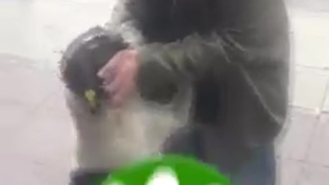 Jorge reunites with owner