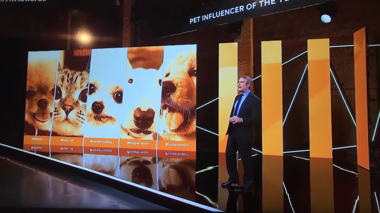 Tucker Budzyn wins the Pets American Influencer Award!