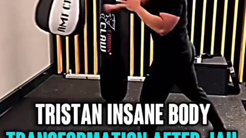 Tristan Tate insane body transformation