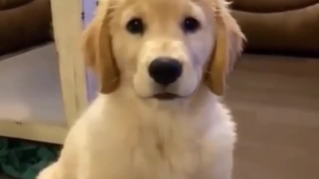 Oh my God, I love it when it winks at me
