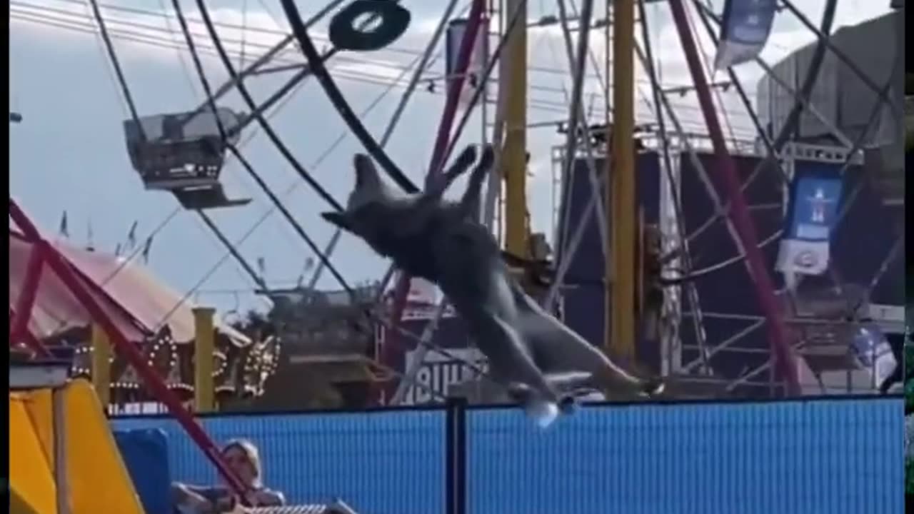 First Day Of Training