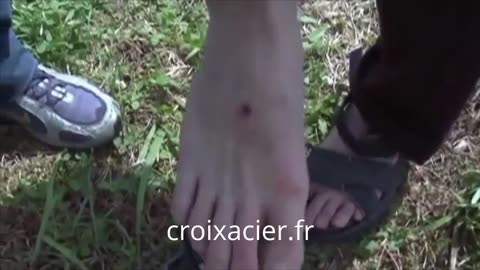 Apparition au Brésil - Stigmate - Blessure de Jésus - Paranormal #stigmatise