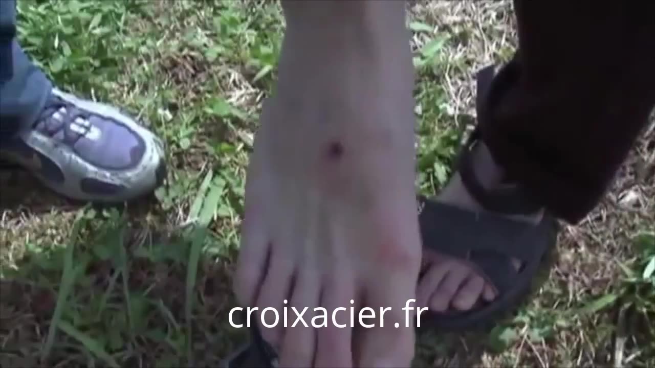 Apparition au Brésil - Stigmate - Blessure de Jésus - Paranormal #stigmatise