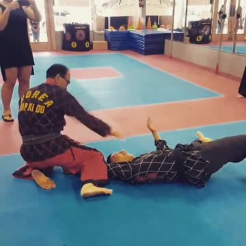 Grand Master Yuen Baie Kim President Of The World Pro Hapkido Federation