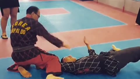 Grand Master Yuen Baie Kim President Of The World Pro Hapkido Federation