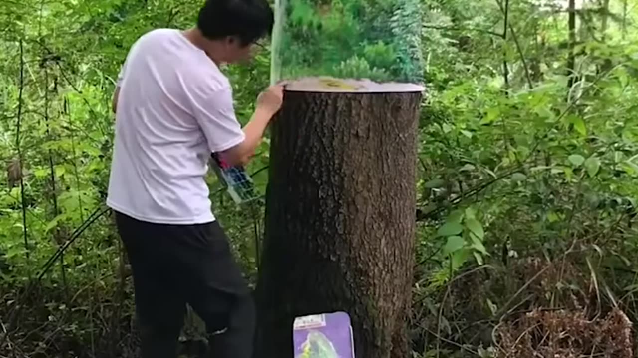 Blending trees with their background using a painting brush