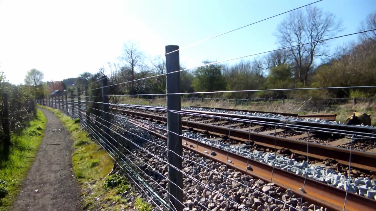 Class 142 Pacer Double - April 2019