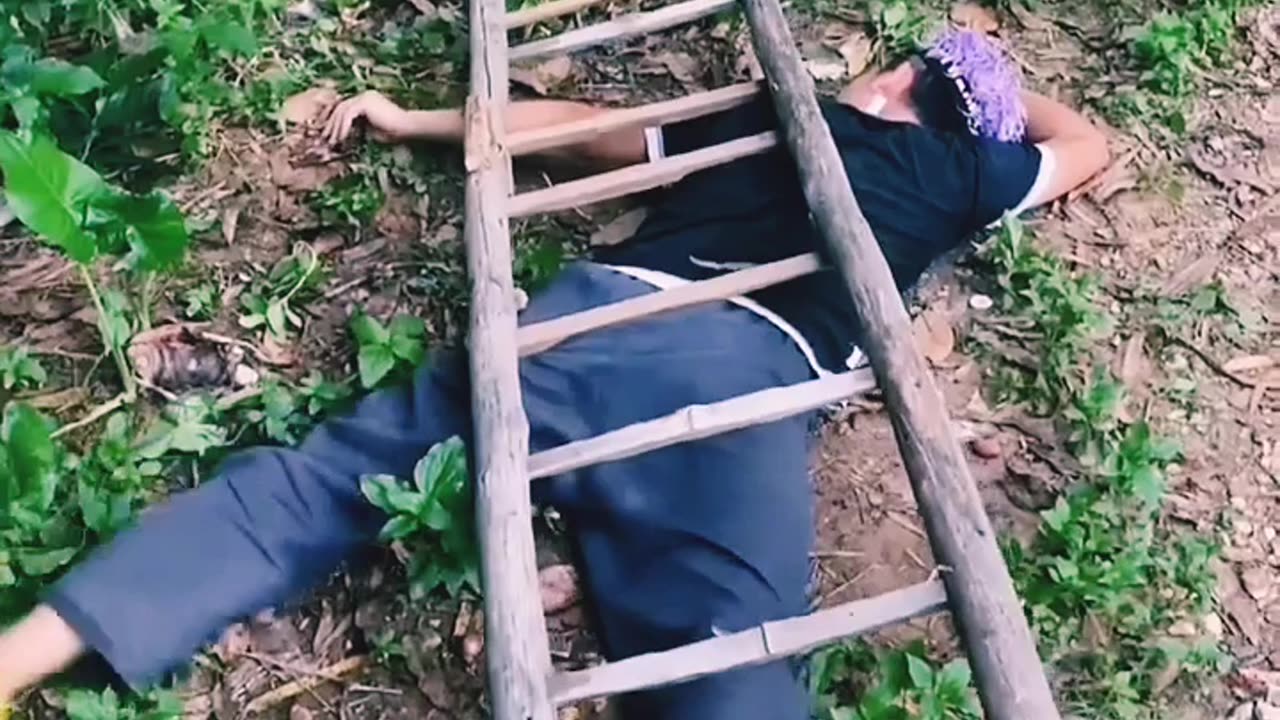 Funny video