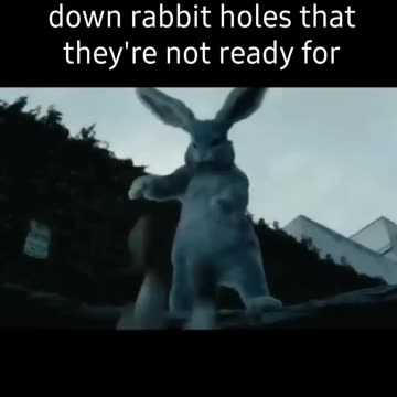 Down the rabbit hole! 🐇🐰