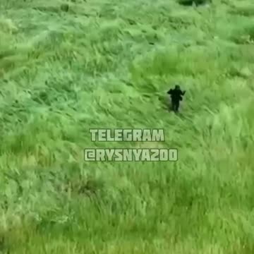 Russian Soldier Hits Mine While Trying to Surrender to Ukrainian Drone Has to be Rescued PT 1