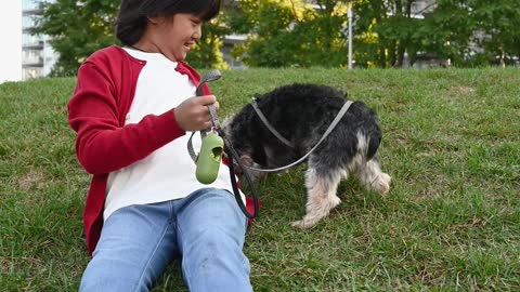 Dog training video