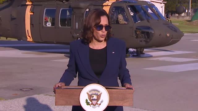 Harris Misspeaks While Visiting Korean Demilitarized Zone