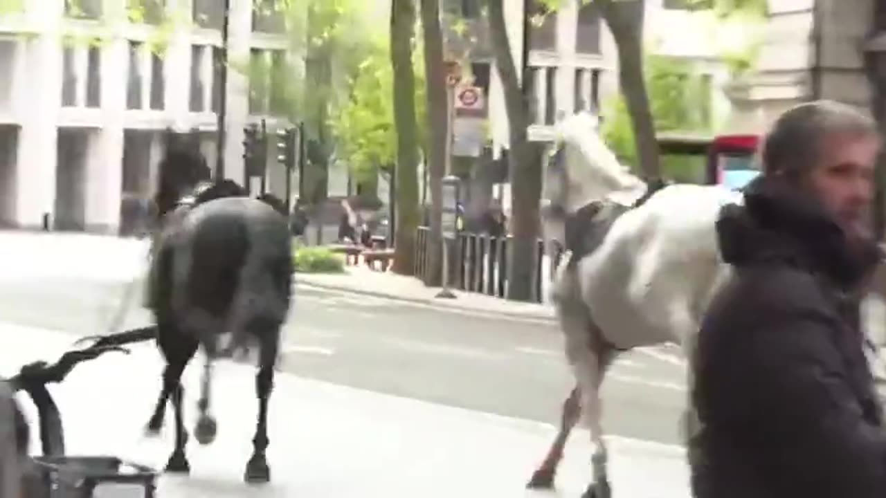 Blood-covered Cavalry horses bolting through Central London