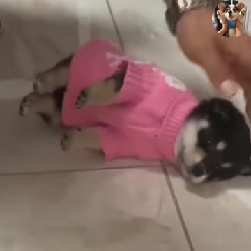 I know it's cold, but why did you knit me a sweater that's so heavy 😕