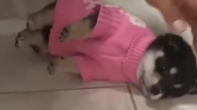 I know it's cold, but why did you knit me a sweater that's so heavy 😕