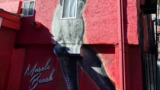 Los Angeles, CA (2 day trip highlights)