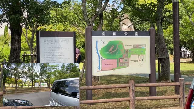 2021.8.8 京都府南丹市園部町 小麦山