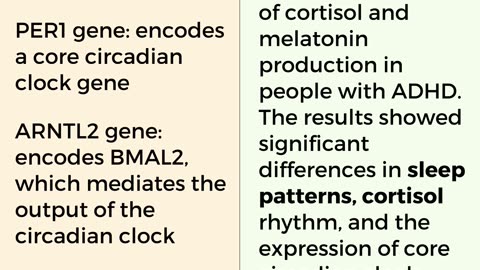 ADHD Genes