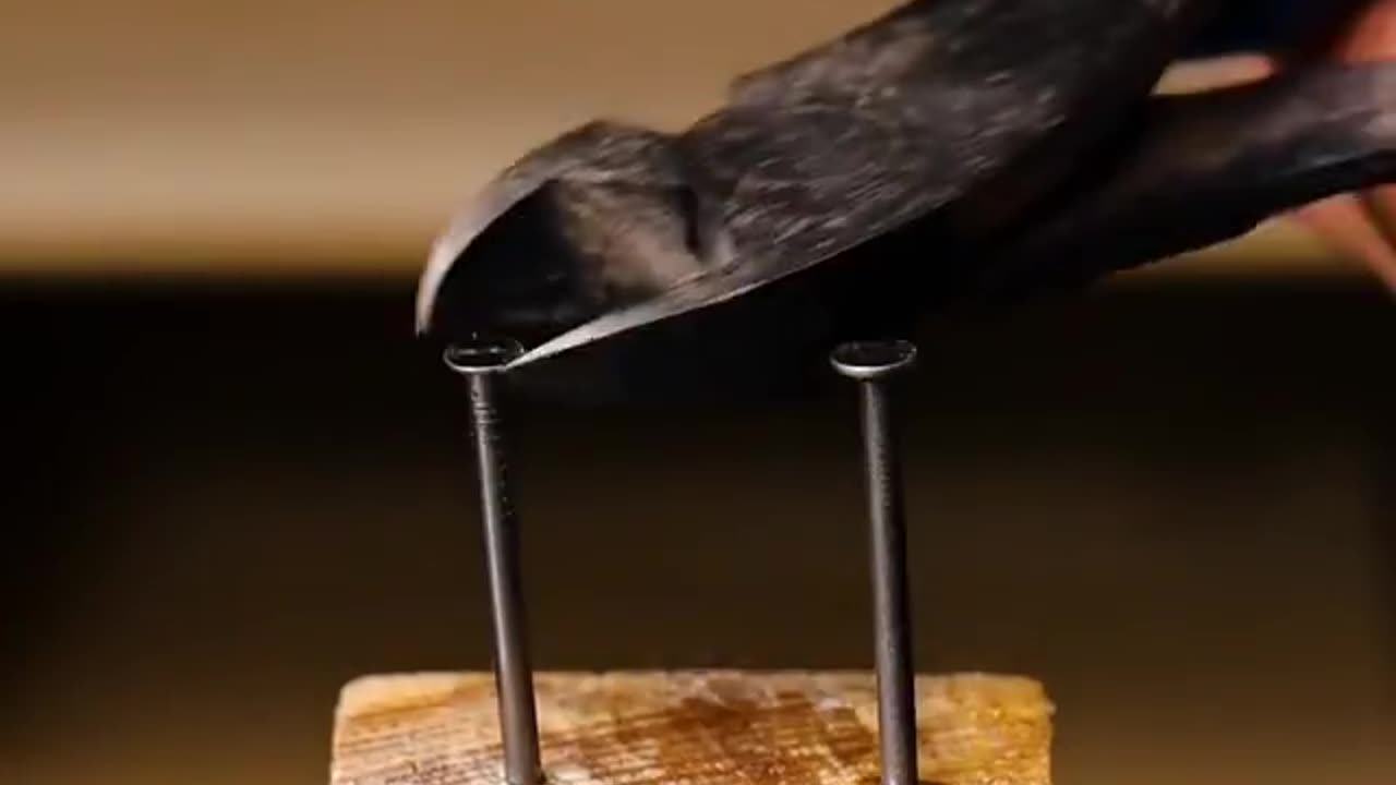 Wood craft skills
