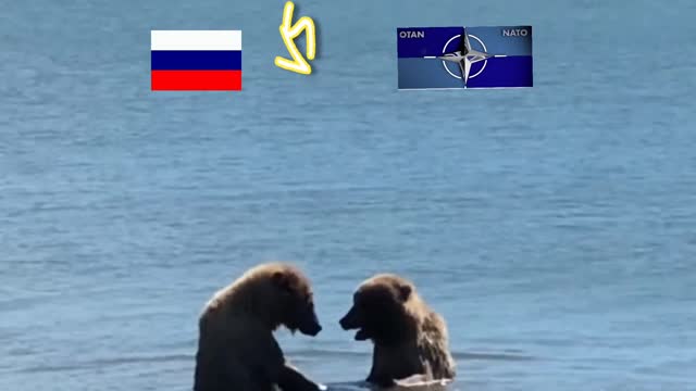 RUSSIA vs NATO