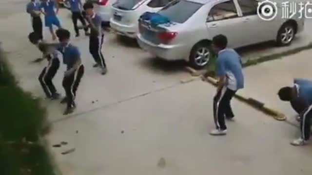 new bruce lee