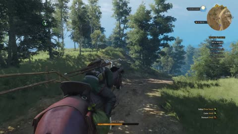 Witcher 3 Horse Racing