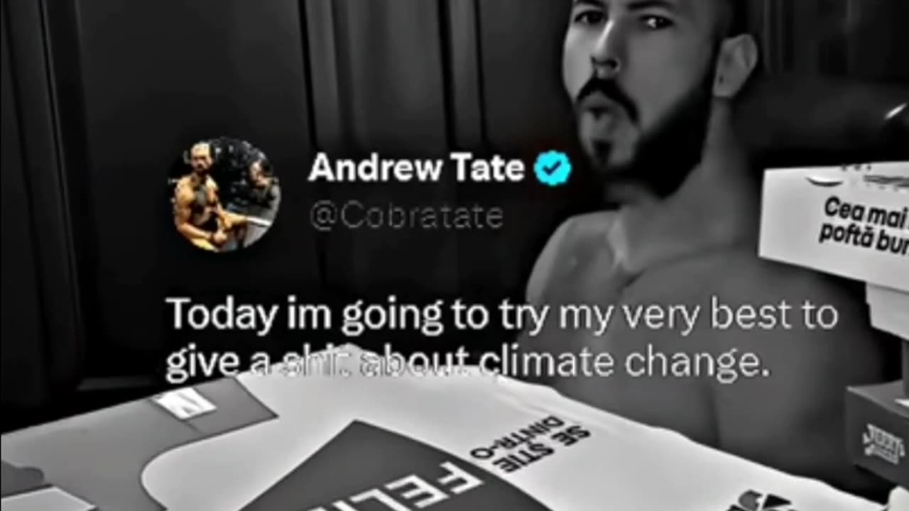 Tates most savage reply of 2023