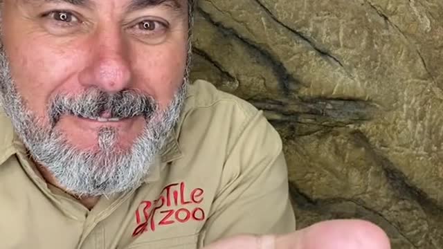 Dose is feel like Halloween is getting close I think Iām ready š