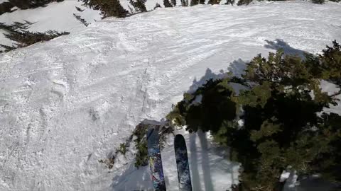 ski fast, don't grab - Snowbird Utah (p