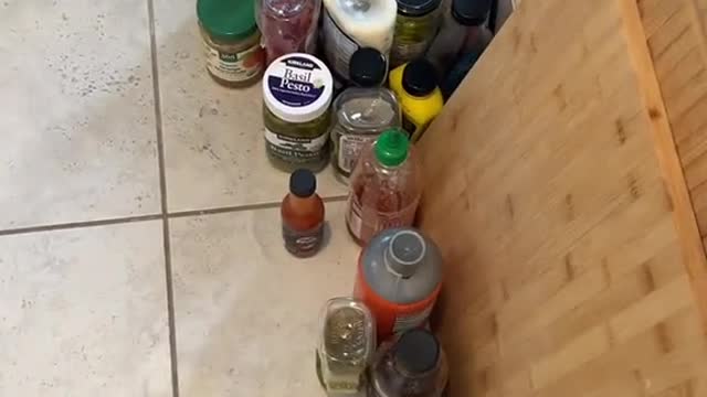 The sauce struggle is real#StemDrop001