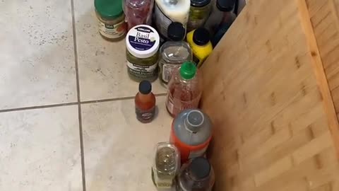 The sauce struggle is real#StemDrop001