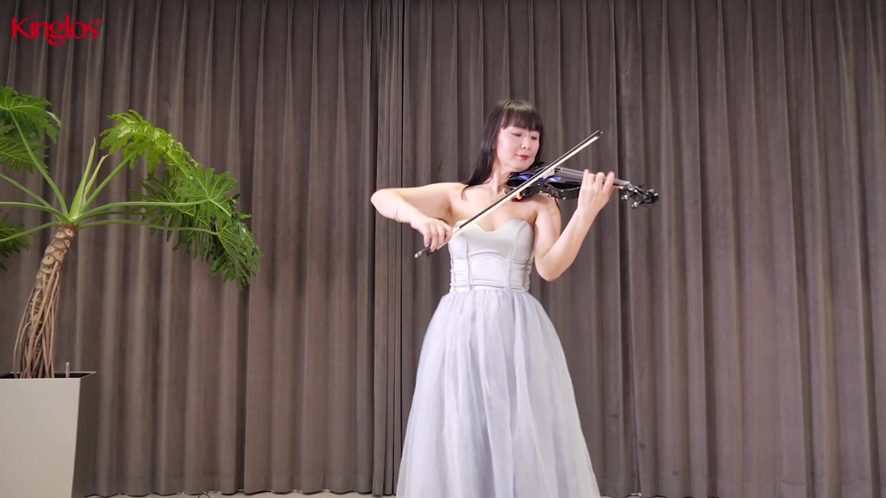 Professional Performance with Electric Violin DSZB-015 | Kinglos